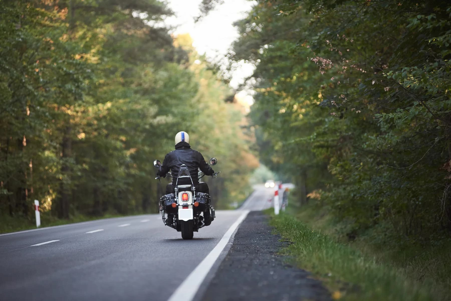 A motorcyclist riding away along a tree lined road